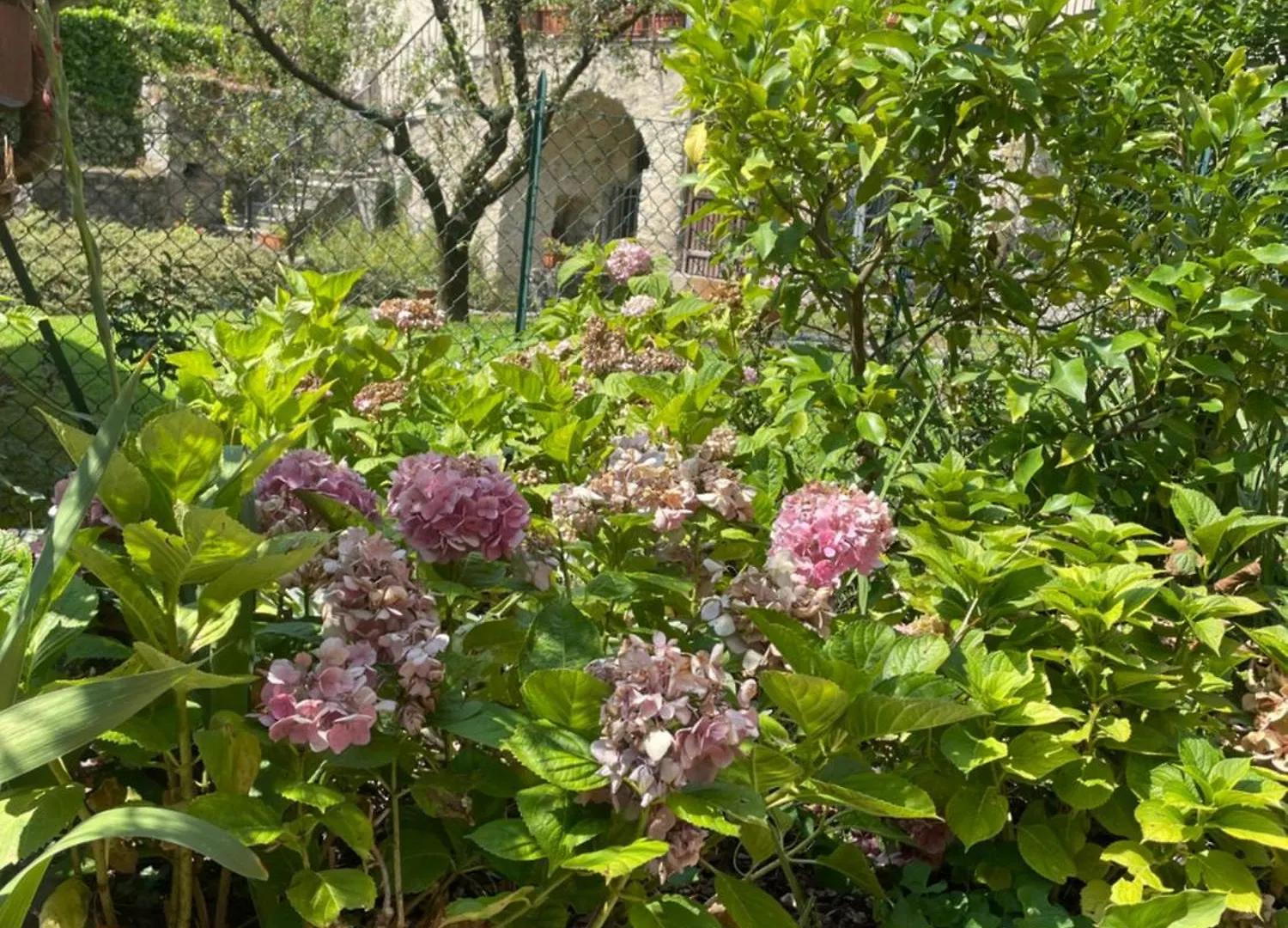 Hotel Miralago B&B And Apartments Bellagio